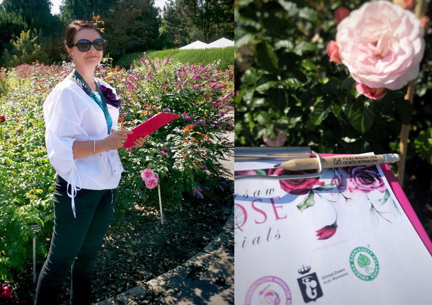 Artystka Karina Jaźwińska jako jurorka w konkursie Warsaw Rose Trials